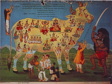 Poster representing the Cow Mother. Printed probably at Ravivarma Lithographic Press, Lonavla near Pune. (Photo | Special Arrangement)