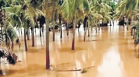 Floodwaters enter G Pedapudi Lanka in P Gannavaram mandal I express
