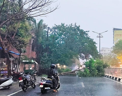 The road near Sales Tax Chowk in Berhampur blocked by uprooted trees | Express