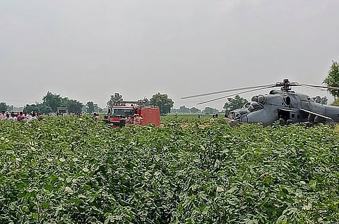 An Indian Air Force (IAF) helicopter after it made an emergency landing due to a technical snag, at a farm in Rajasthan's Hanumangarh district. (Photo | PTI)