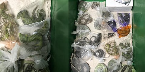 Image tweeted by US Attorney L.A.(Photo | Twitter)