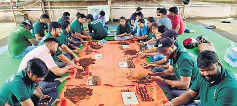 Members of the trust preparing seed balls