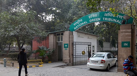 National Green Tribunal (File Photo | EPS)