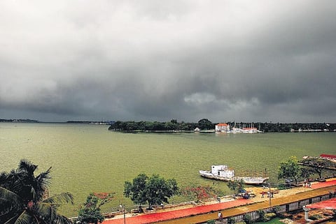 Pepper, bamboo and lost golf balls