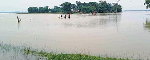 People cross a submerged road in a flood-hit village of Kendrapara district | Express