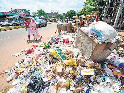 Garbage piled up at Sailashree Vihar road in Bhubaneswar | DEBADATTA MALLICK