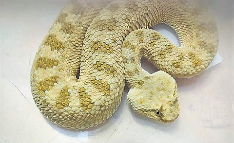 Image for representational purpose only. (Photo | Express)