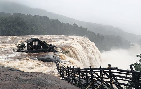 Athirappilly waterfalls in Thrissur district in full flow amid heavy rain on Thursday. (File Photo)