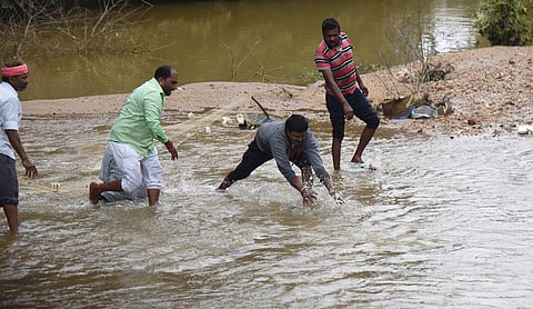 With heavy rain causing lakes to overflow and flood roads in Mandya district, locals catch fish that swept onto the Bengaluru-Mysuru highway on Saturday | Vinod Kumar T