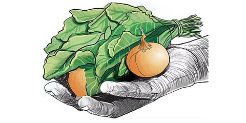 As organic farmers seek help, Horticorp lets them down