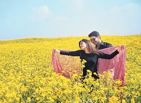 Ollywood romance with Koraput continues