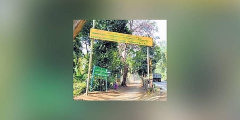 The farm at Kallar | Express