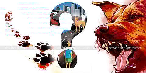 Image for representational purpose only. ( Express Illustration)