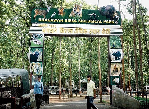 Jharkhand's Bhagwan Birsa Biological Park zoo.