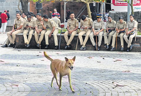 A street dog walks at the Kozhikode beach, a main tourist destination in the city, as police personnel take a break while on duty for a public event on Friday | E Gokul
