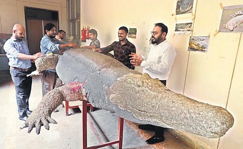 Museum officials working on an exhibit | Express