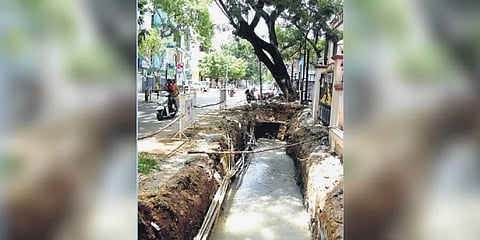 An area in KK Nagar where trees had to be cut to facilitate ongoing stormwater drain work, despite repeated opposition rom residents | Ashwin Prasath