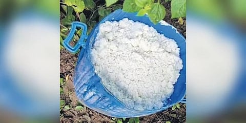 A bucket filled with the leftover rice dumped in the school premises to conceal the food poisoning issue