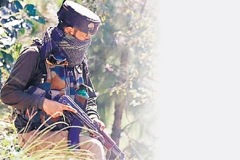 Image for representation