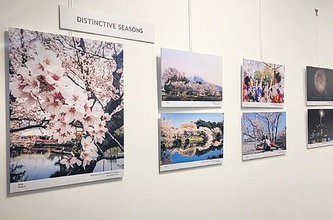 An image from the gallery.