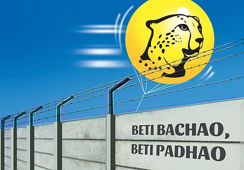 Of Cheetah, Gita, Ankita and the lost resonance