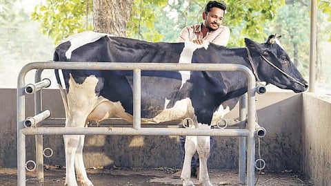 A still from 'Paltu Janwar'