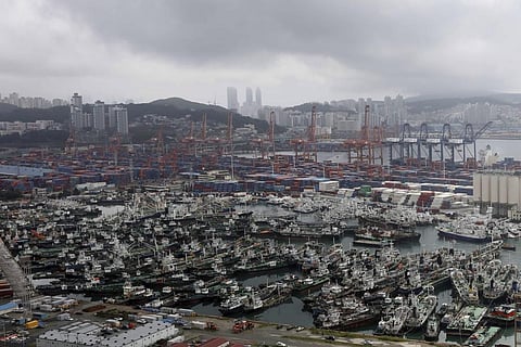 ishing boats are anchored ahead of the arrival of Typhoon Hinnamnor at a port in Busan, South Korea (Photo | AP)