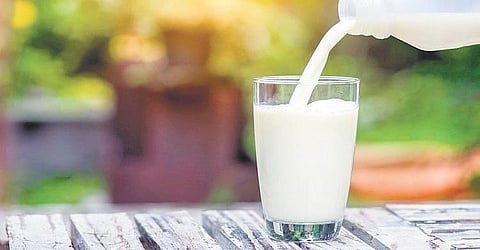 46.91 lakh litres of milk arrived in Kerala this Onam