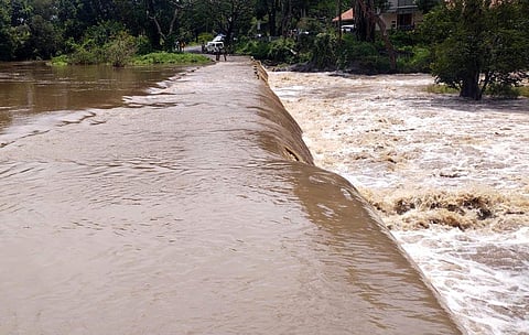 Alternative road connecting Masinagudi submerged due to flooding near Theppakadu in Nilgiris district.(Express)