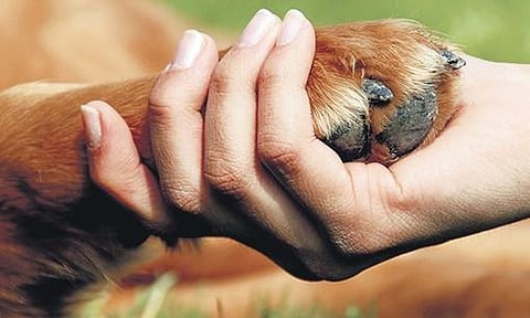 Easy to adopt ideas to focus on your health