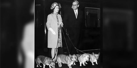 The corgi travelled with the queen in the royal carriage while being hidden under a rug. (Photo | AFP)