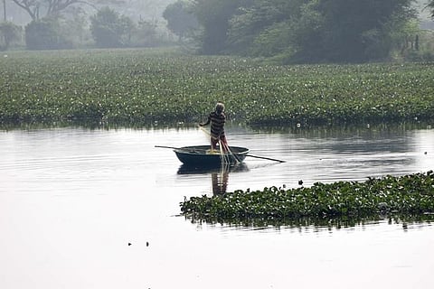 Coimbatore Corp to revive Singanallur lake, awaits nod from CMA