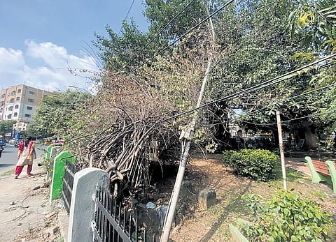 A street light that is partially damaged on Jermiah Road in Vepery | R satish Babu