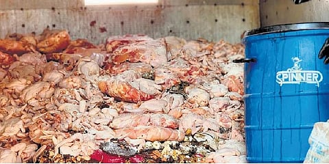 Stale poultry meat seized from a house in Kalamassery on Thursday | Express