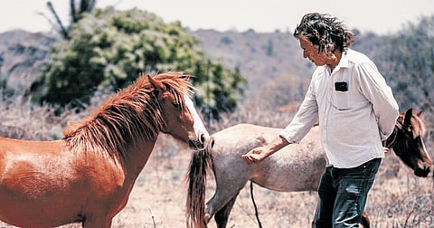 Nigel Otter, founder of India Project for Animal and Nature, said their sanctuary reached saturation point and struggled a lot during the pandemic