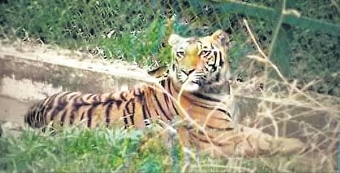 Image for representation purpose only.