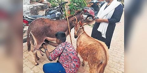 Most customers buy at least 50ml of milk which costs Rs 100, says a vendor.