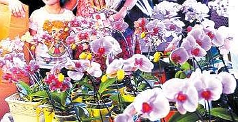 Image used for representational purpose only. (File Photo)