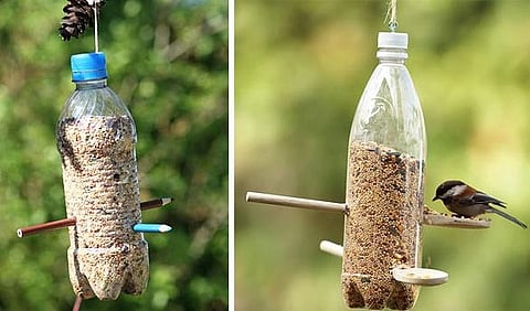 Bird feeder made up of plastic bottles