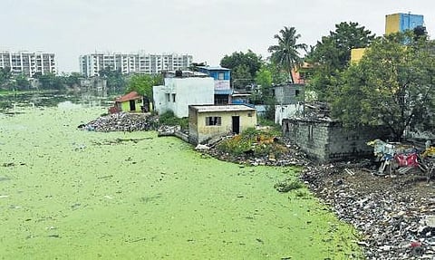 waterbodies near land
