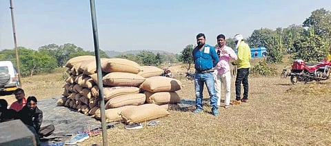 Bags of paddy kept in the open at a mandi in Kuanrmunda block. (Photo I EPS)
