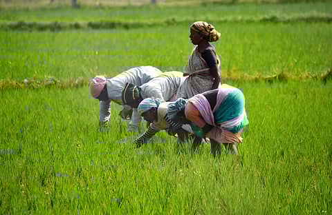 Farmers in Tirupati. (Photo | Madhav K, EPS)