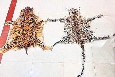 For representational purposes