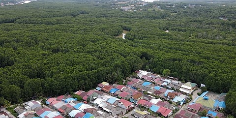 Located in eastern Borneo -- the world's third-largest island -- Nusantara is set to replace sinking and polluted Jakarta as Indonesia's political centre by late 2024. (Photo | AFP)