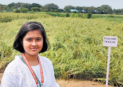Harshita Priyadarshini Mohanty at a millet field in Koraput | Express