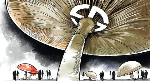 Image used for illustrative purposes only. (Express illustrations)