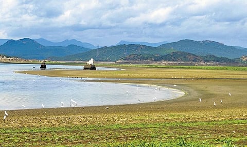 155 drinking water schemes across 24 dists are dependent on Cauvery | file pic