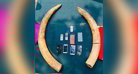 While Bandipur Tiger Reserve has a defined ESZ, it was not defined in Nagarhole.