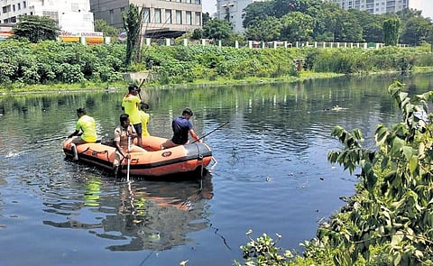 Fire and rescue services personnel searching for the body of a boy in Cooum river on Thursday | Express
