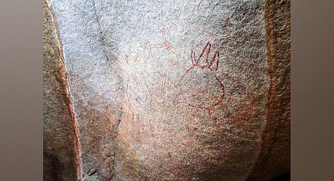 The painting is 6,000 to 12,000 years old and consists of three tortoises, a fish and a geometric motif in red colour. (Photo | Express)